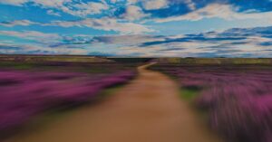 Southside Data Centre welcomes Scottish Government’s requirement for Environmental Impact Assessments for data centres