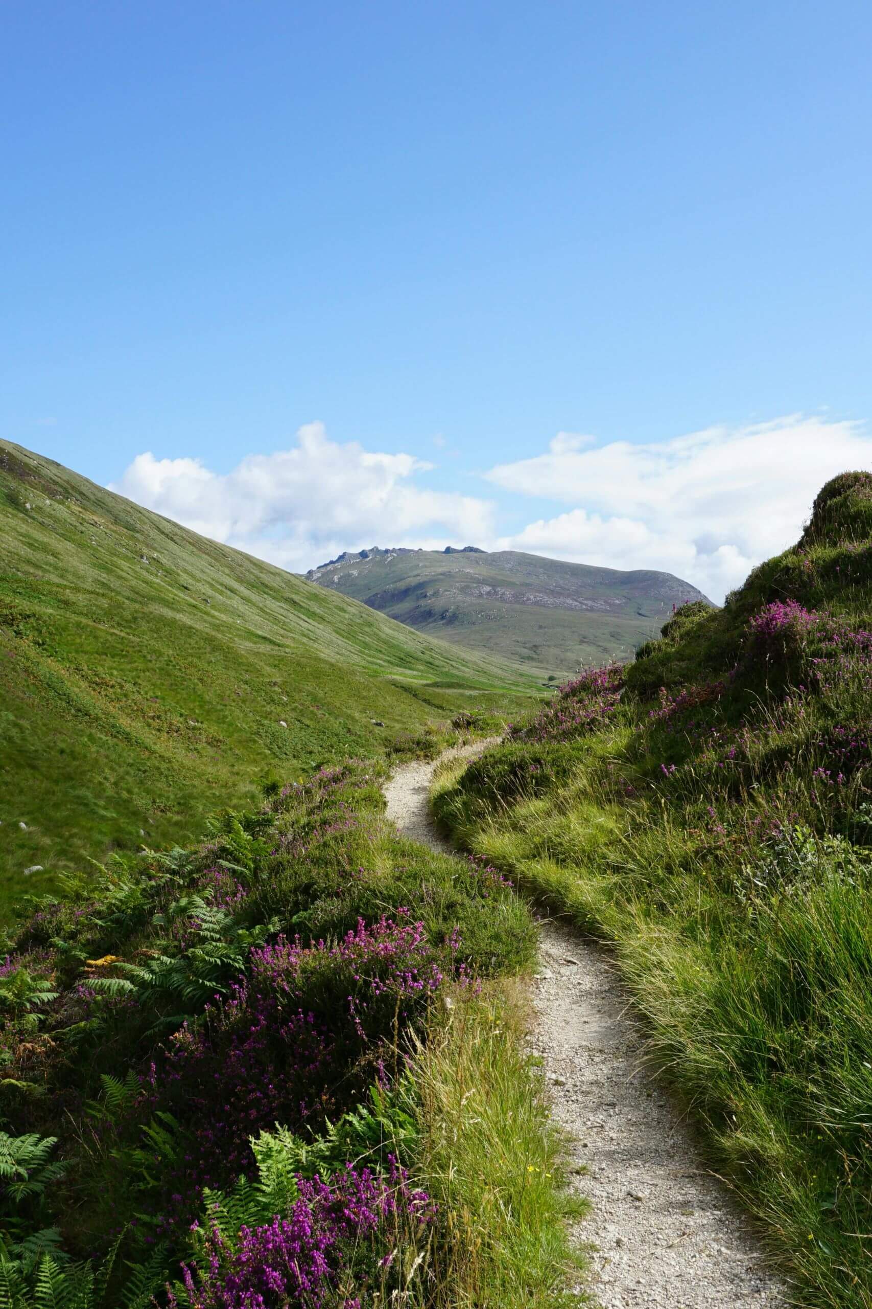 Scotland landscape walk